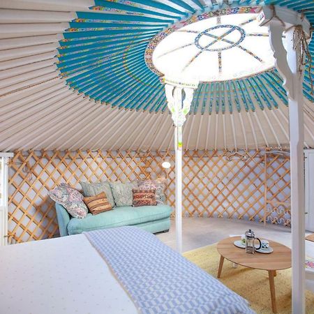 Awesome Glamping Gold Coast Hinterland Hotel Advancetown Eksteriør billede