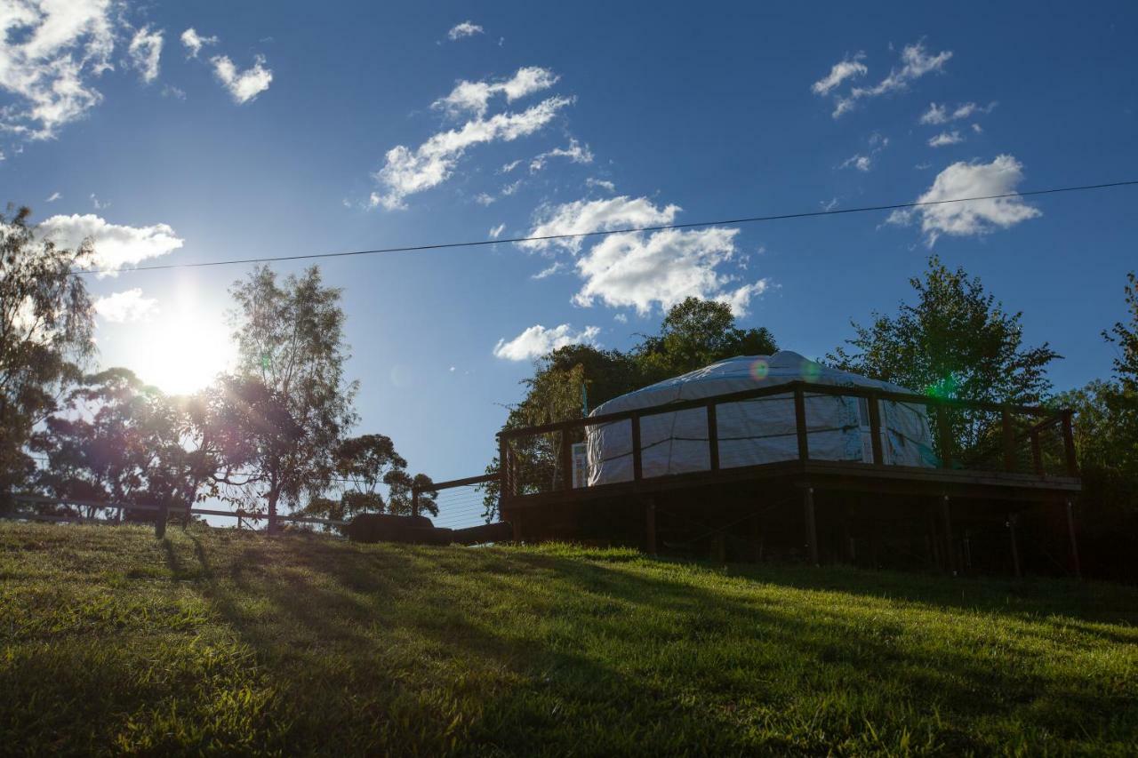 Awesome Glamping Gold Coast Hinterland Hotel Advancetown Eksteriør billede