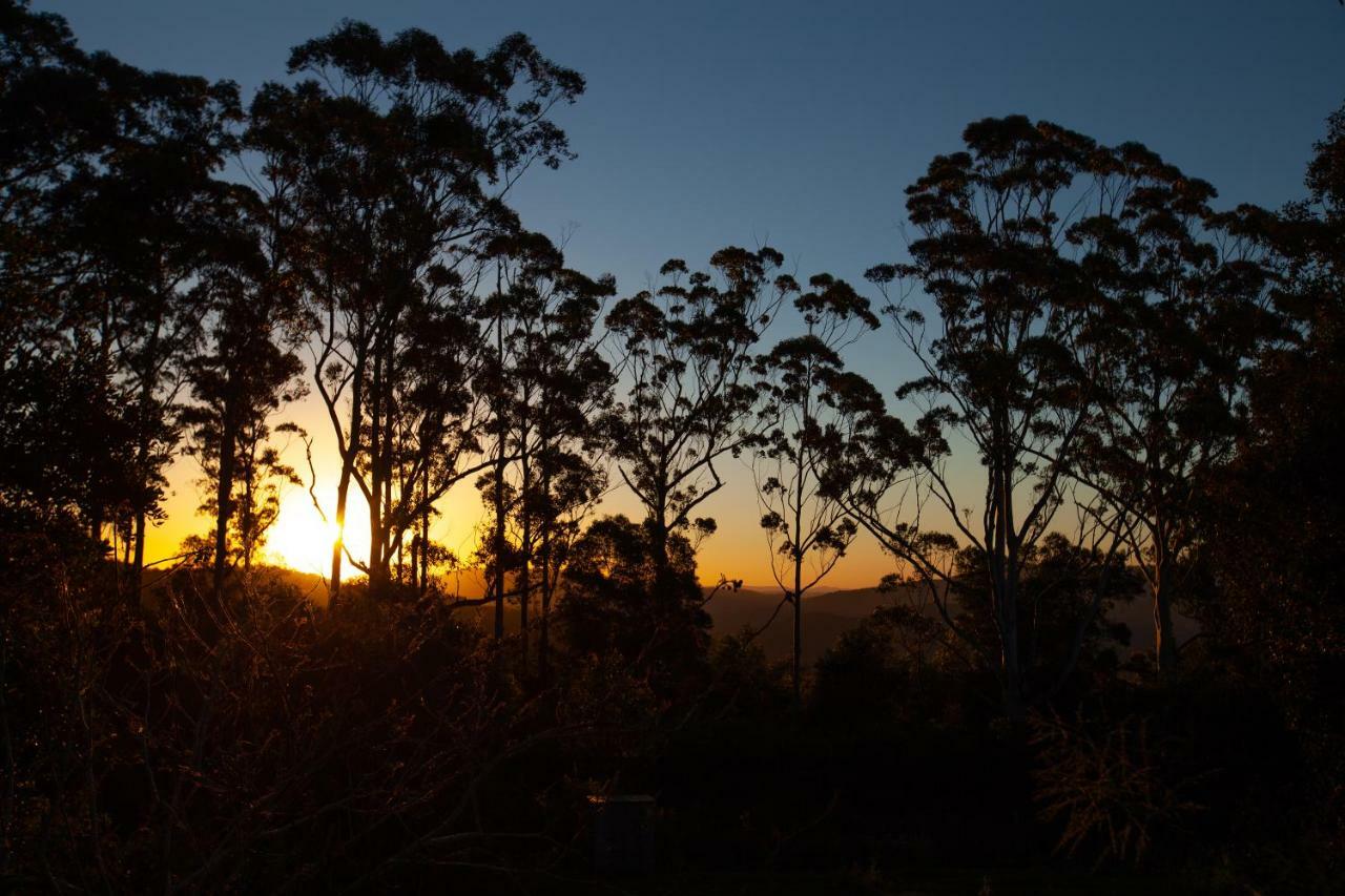 Awesome Glamping Gold Coast Hinterland Hotel Advancetown Eksteriør billede